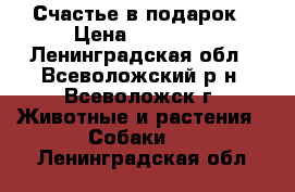 Счастье в подарок › Цена ­ 40 000 - Ленинградская обл., Всеволожский р-н, Всеволожск г. Животные и растения » Собаки   . Ленинградская обл.